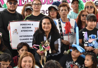 IMPULSA LA DIPUTADA CARMEN DE LA ROSA LA ADOPCIÓN Y CUIDADO DE SERES SINTIENTES