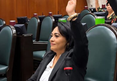 PROPONE CARMEN DE LA ROSA UNA LEGISLACIÓN INTEGRAL EN FAVOR DE NIÑAS, NIÑOS Y ADOLESCENTES EN SITUACIONES DE GUARDA Y CUSTODIA